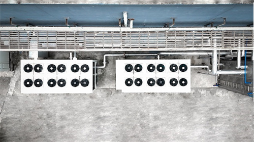 谷輪創(chuàng)新技術(shù)賦能中國(guó)菌菇種植產(chǎn)業(yè)，推動(dòng)能效升級(jí)與可持續(xù)進(jìn)步